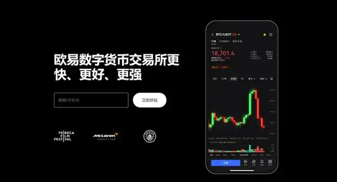 OKAPP官网入口页面展示